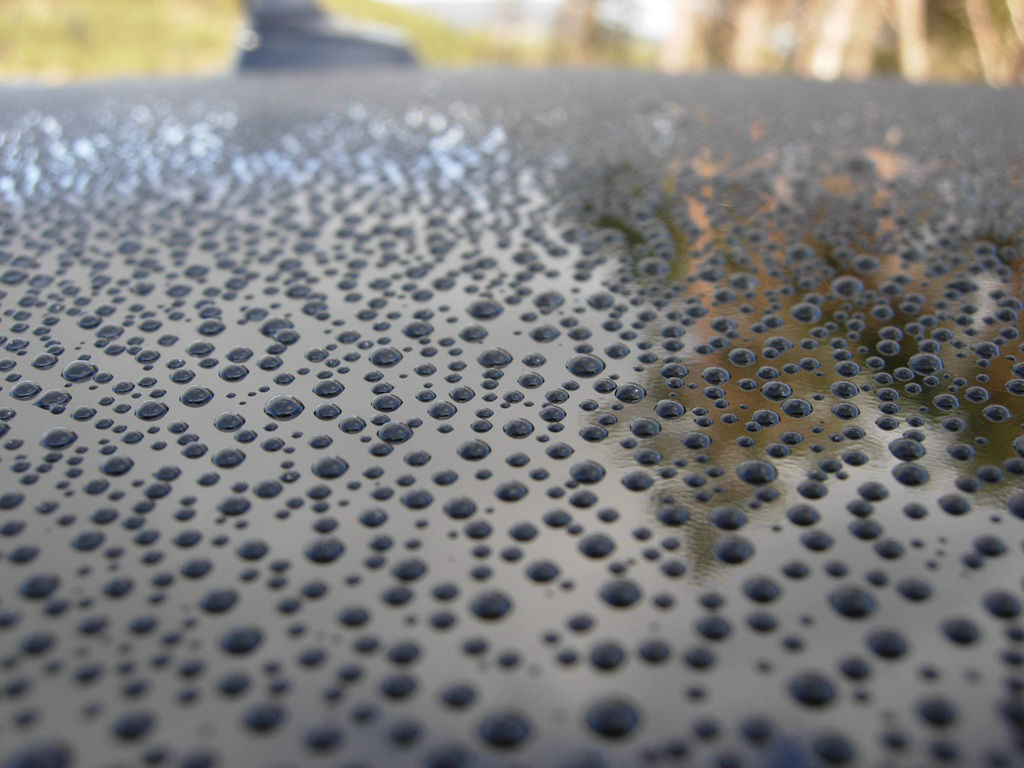 975f90f91600abca.jpg