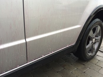 9b511f419769936.jpg