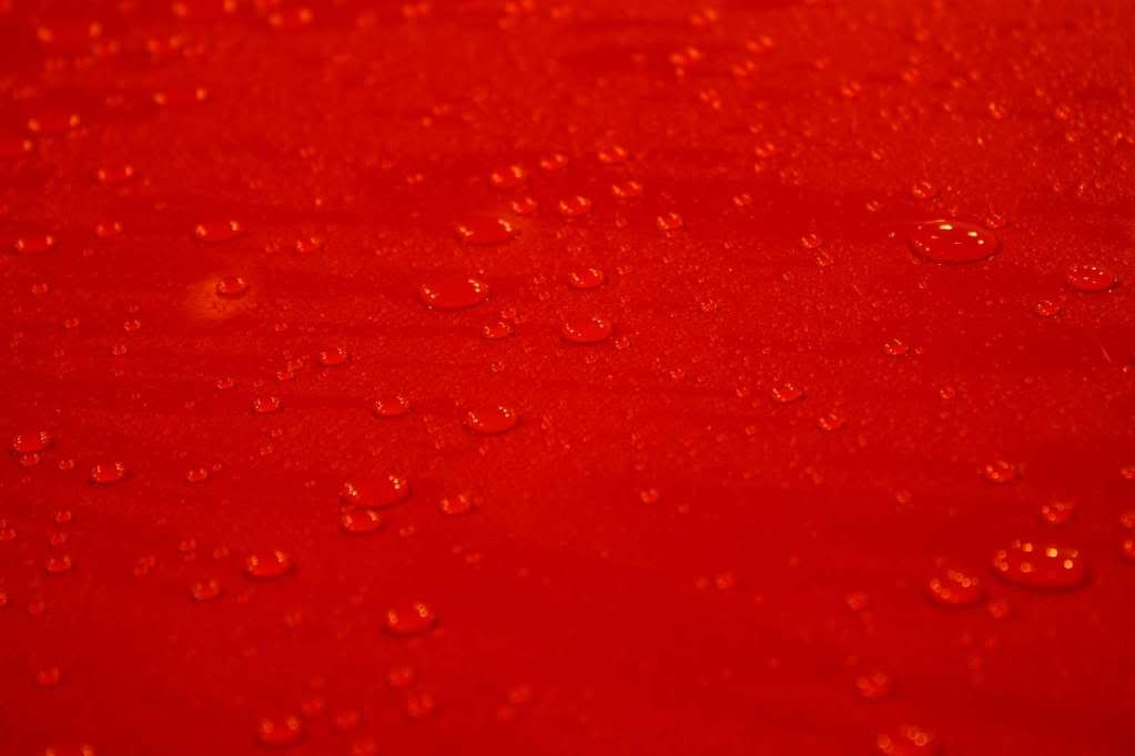 Audi80Day402.jpg