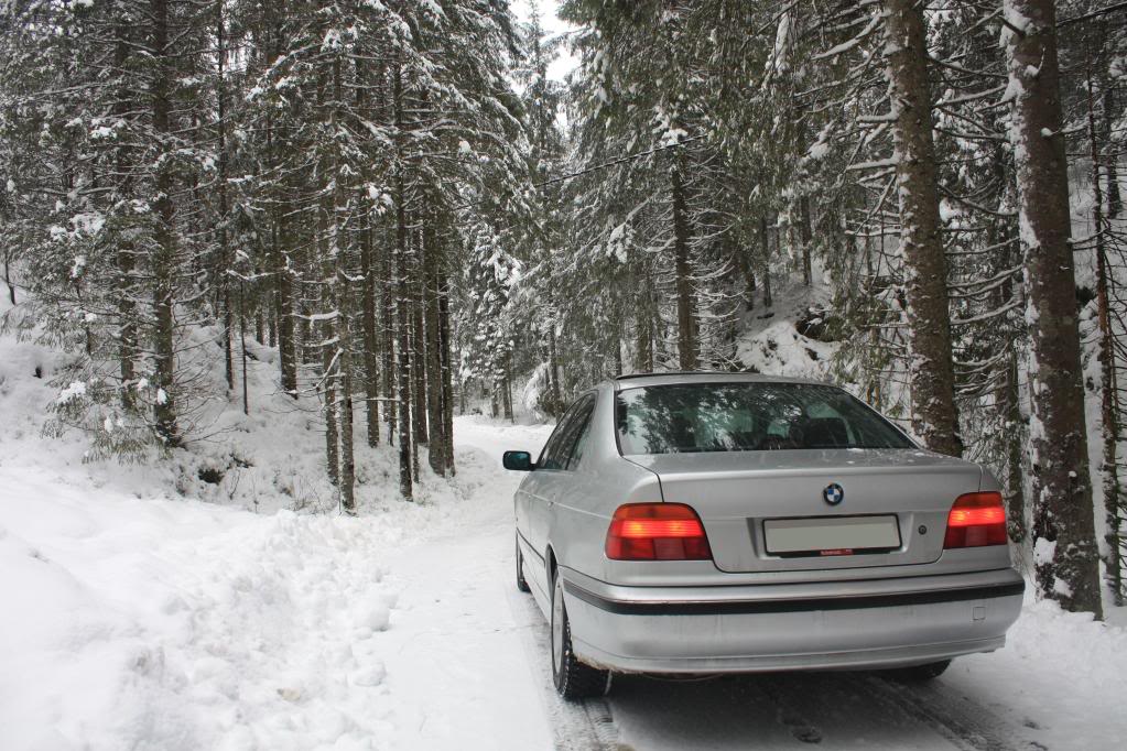 BMWE39523i003.jpg