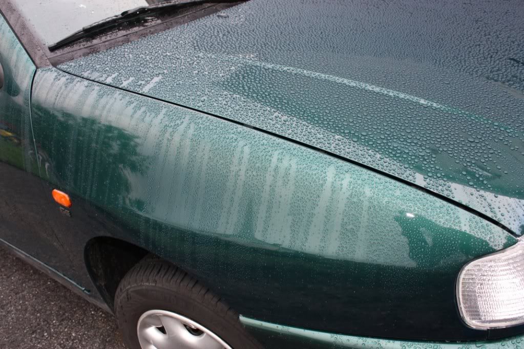 Bilde003-1.jpg