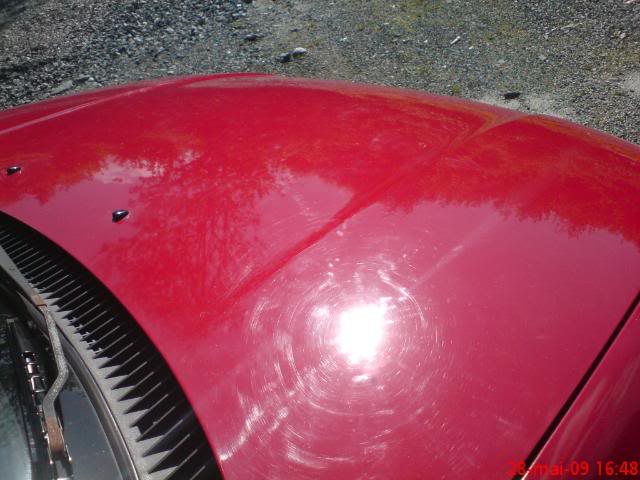 DSC00036.jpg