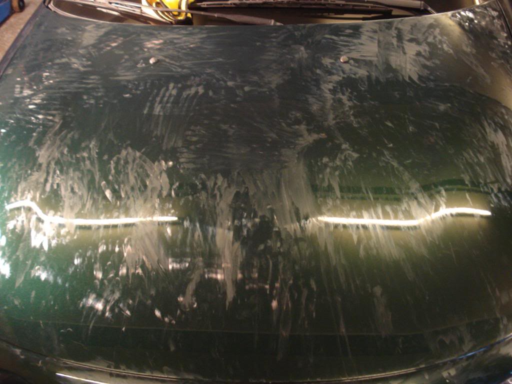 DSC00078.jpg