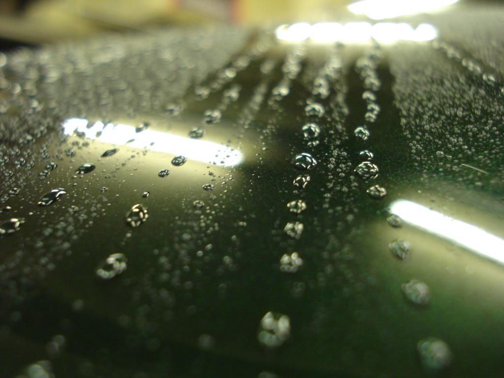 DSC00163.jpg
