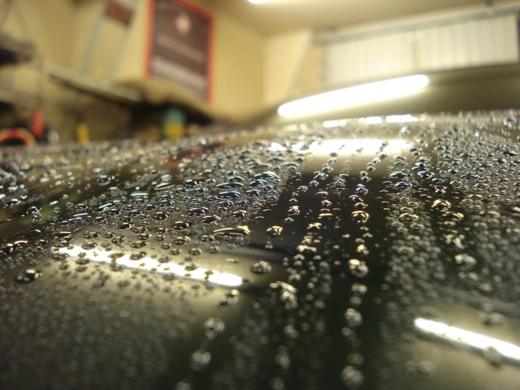 DSC00164.jpg