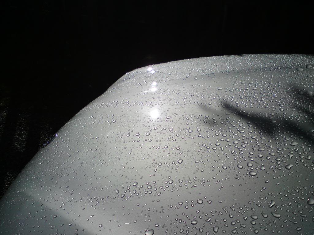 DSC00213.jpg