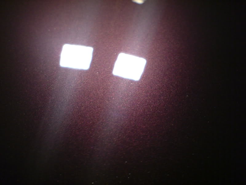 DSC00519.jpg