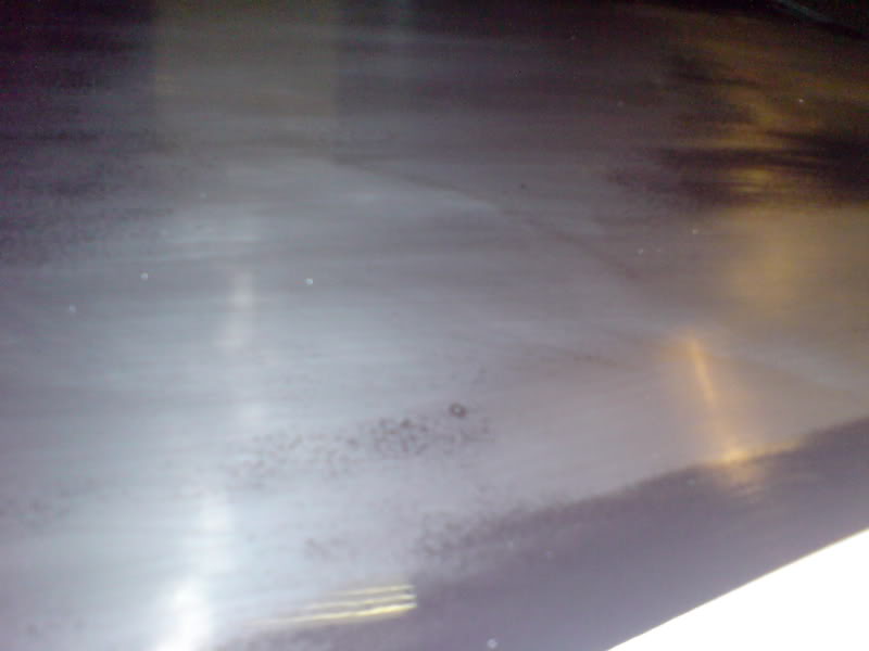 DSC00525.jpg