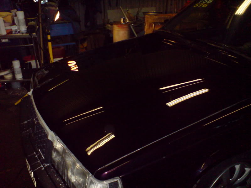 DSC00560.jpg