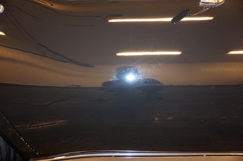 DSC00617_zps315aa693.jpg