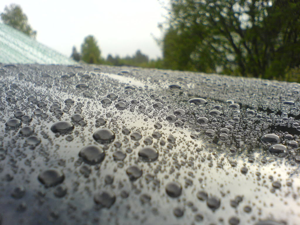 DSC00635.jpg
