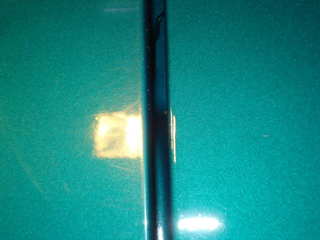 DSC01430.jpg