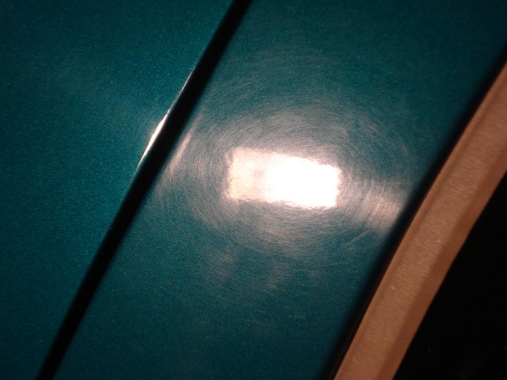 DSC01435.jpg