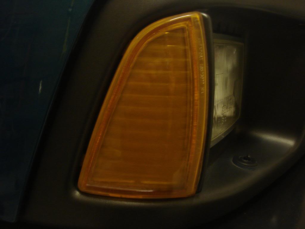 DSC01455.jpg