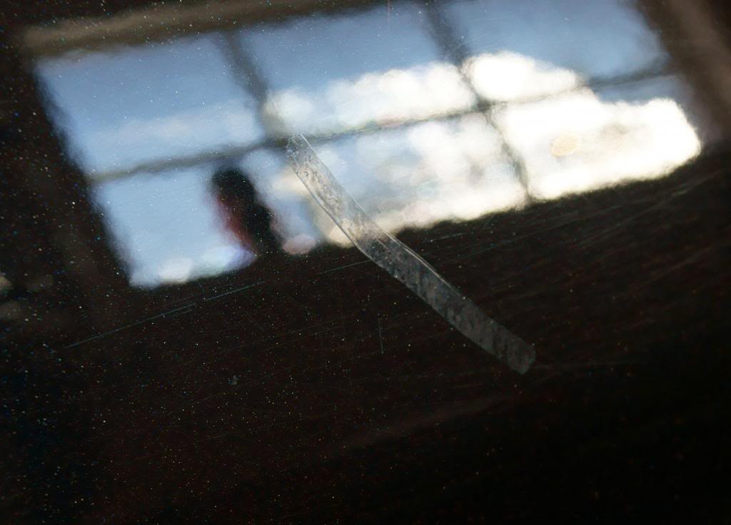 DSC02464_zps58ad2141.jpg