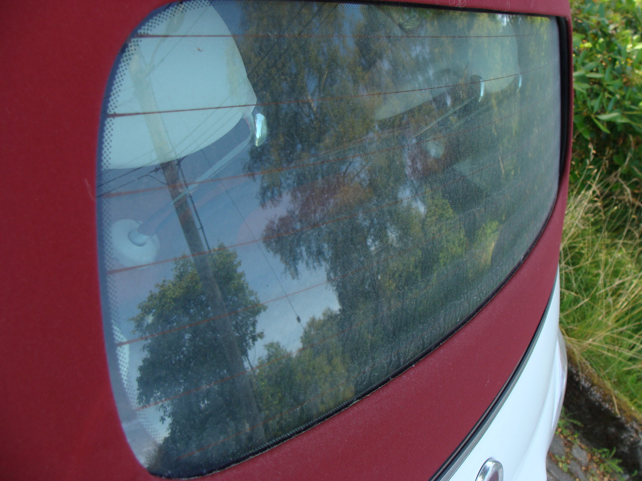 DSC03556.jpg