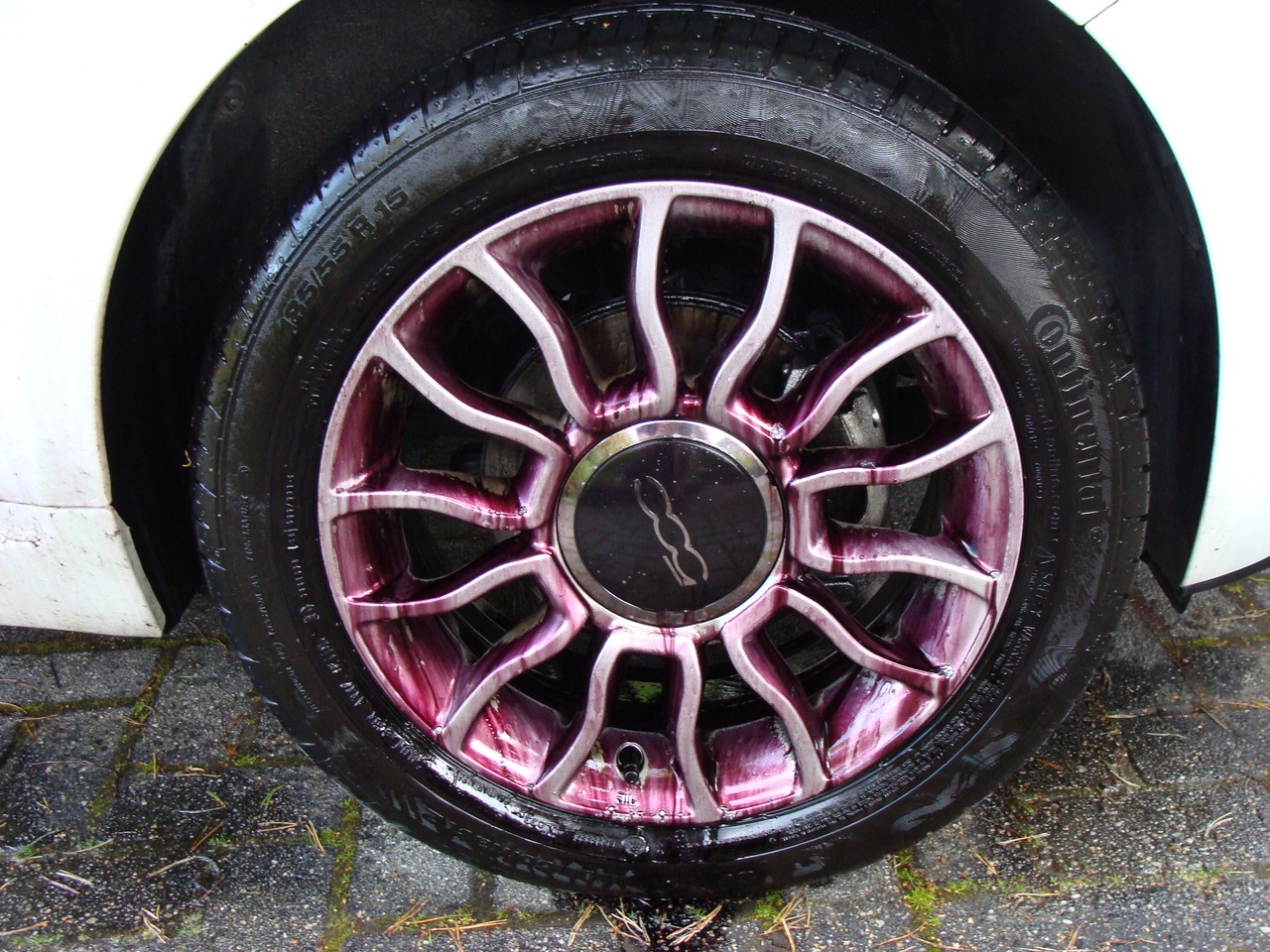 DSC03580.jpg