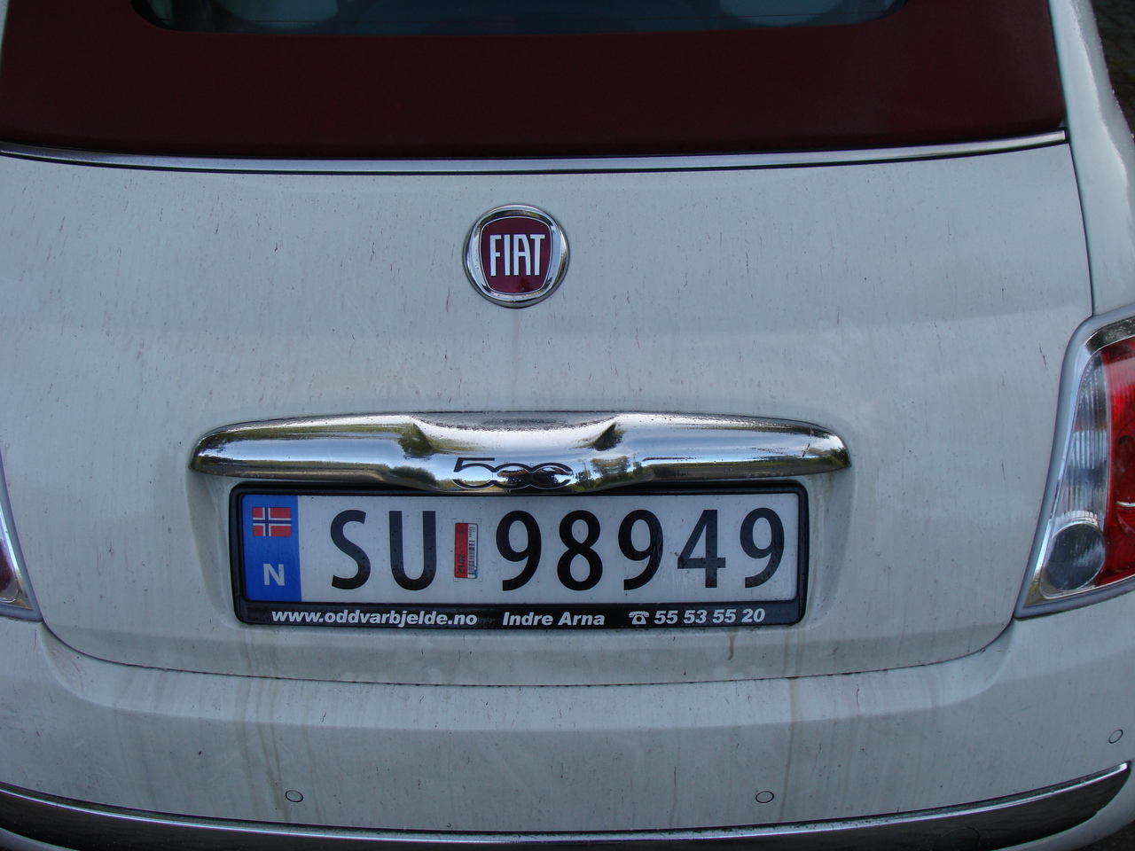 DSC03582.jpg