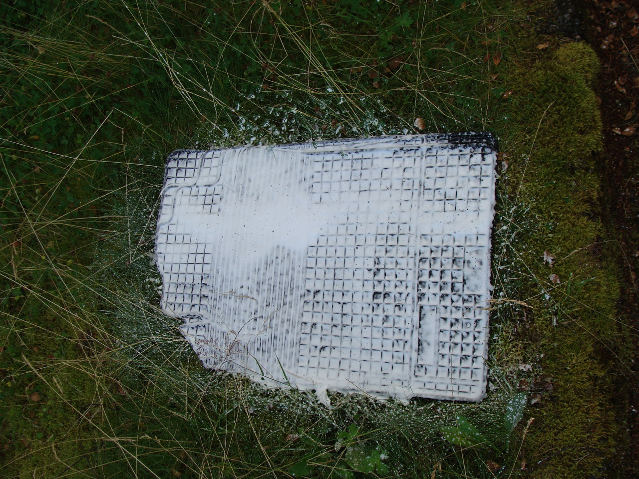 DSC03590.jpg
