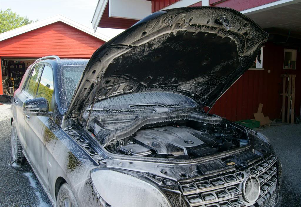 DSC05105_zpsc0c4b360.jpg