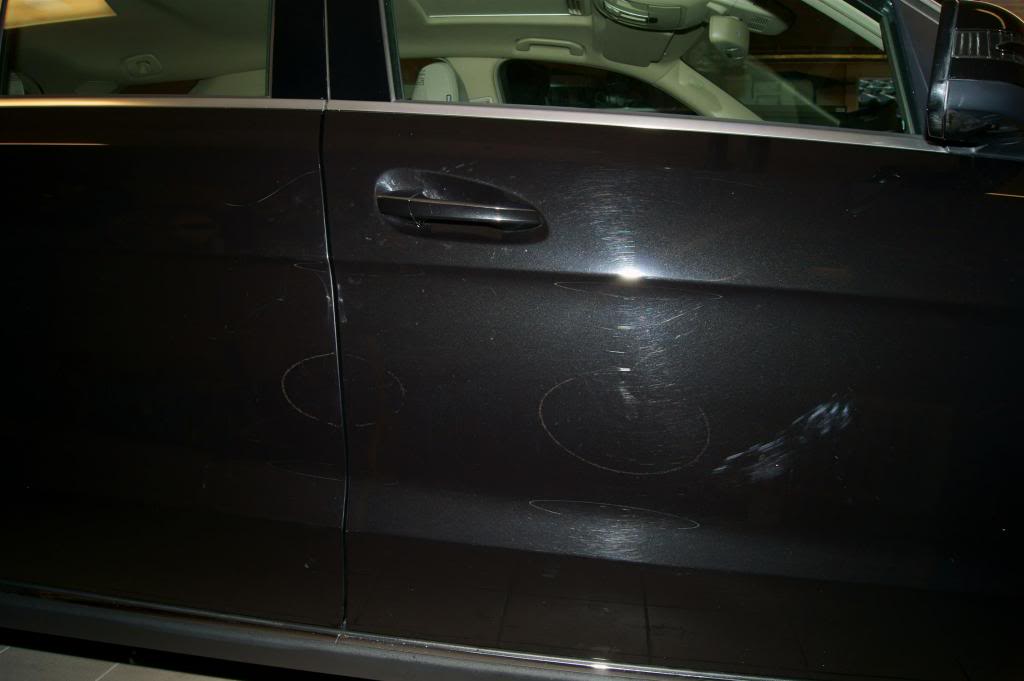 DSC05125_zps727ce89a.jpg