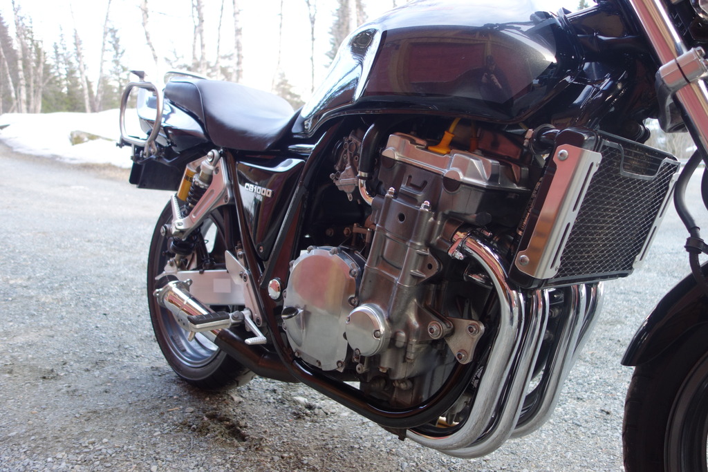 DSC05350_zpsmmyiepps.jpg