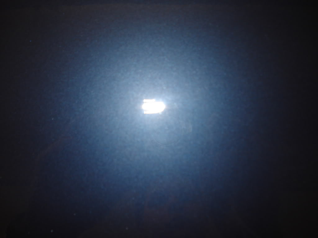 DSC05580.jpg