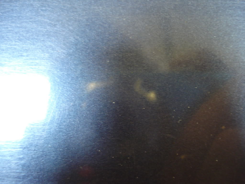 DSC05593.jpg