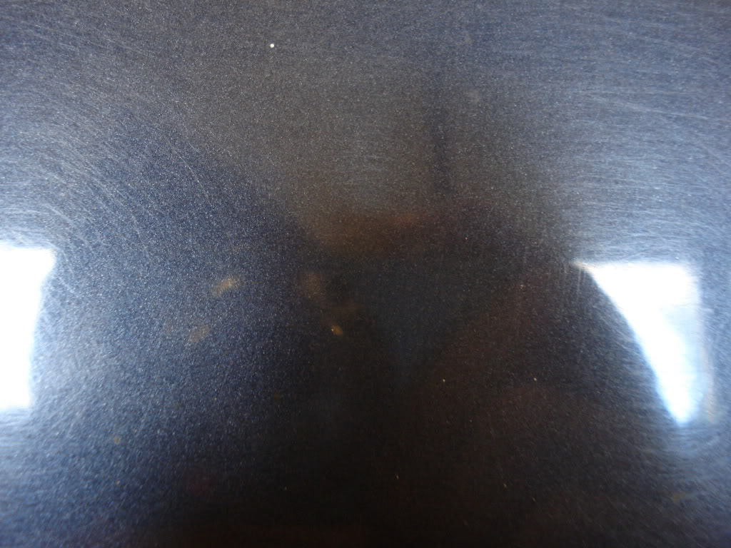DSC05594.jpg