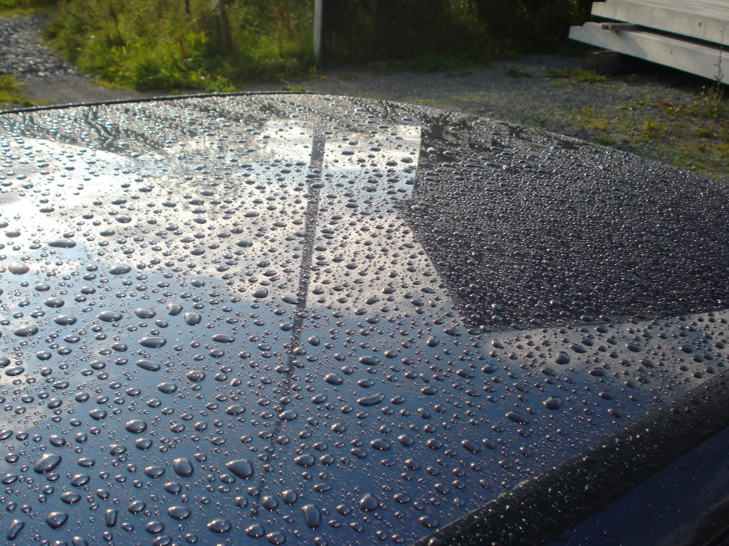 DSC05734.jpg