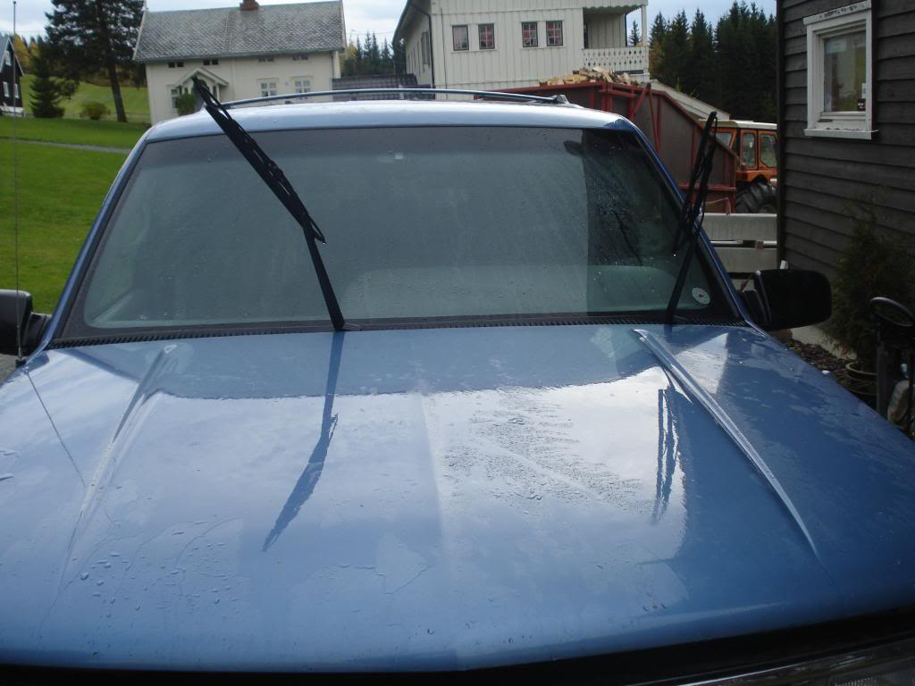 DSC05771.jpg