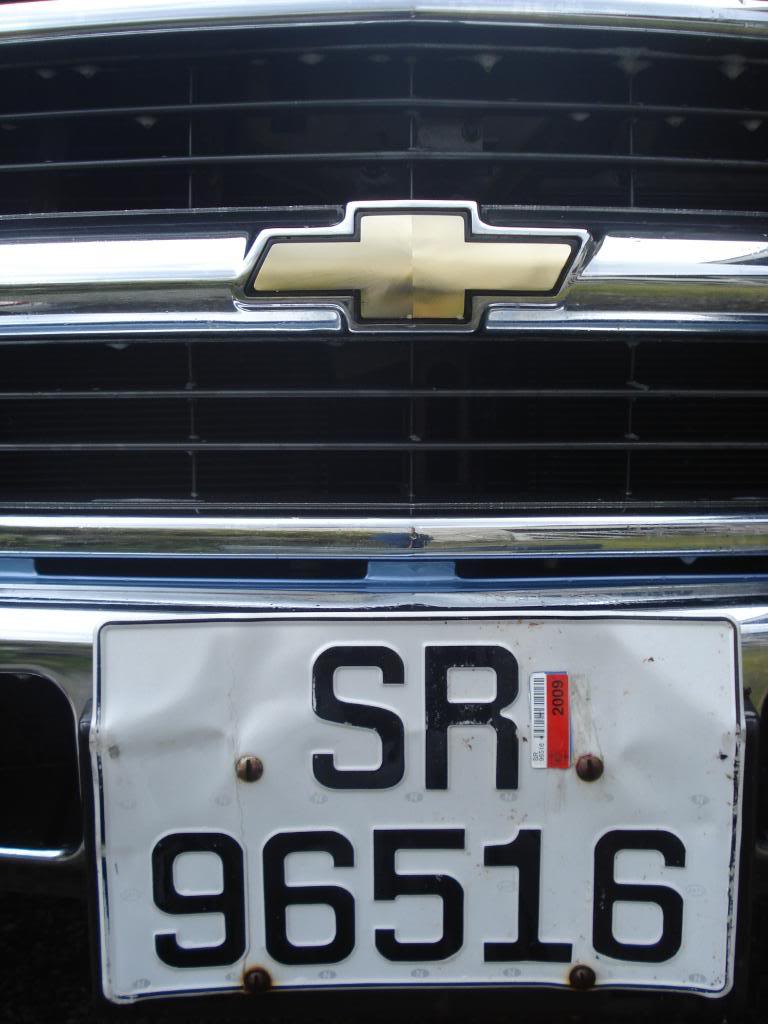 DSC05782.jpg