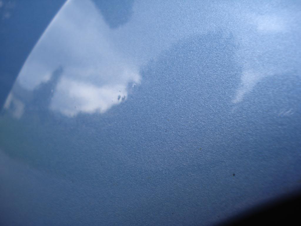 DSC05784.jpg