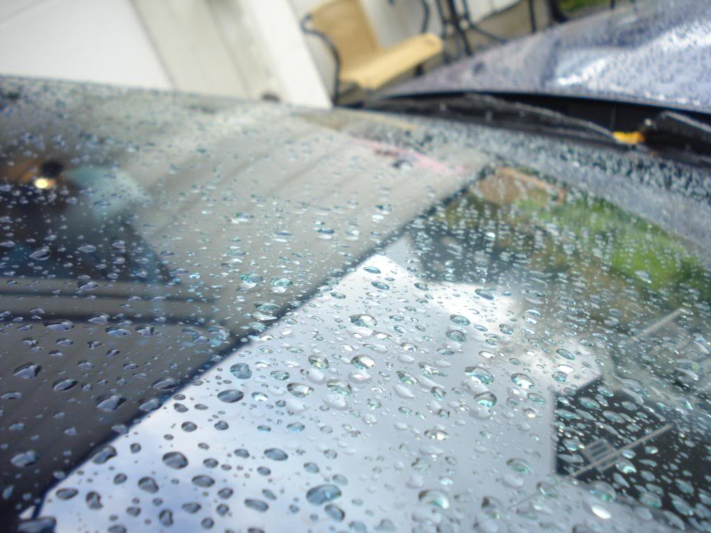 DSC05896.jpg