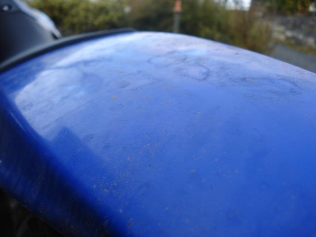 DSC05904.jpg