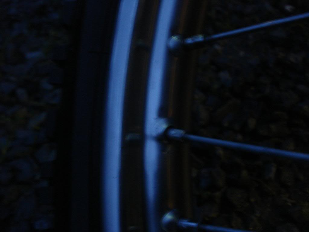 DSC05915.jpg