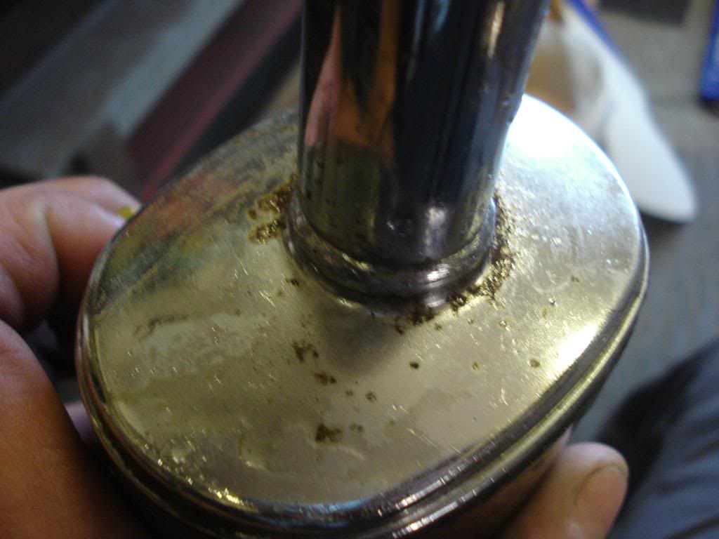 DSC05948.jpg