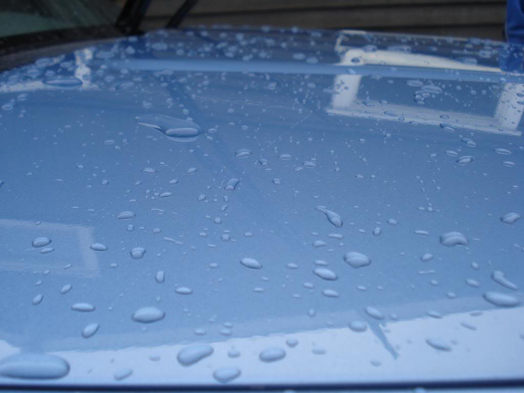 DSC05972.jpg