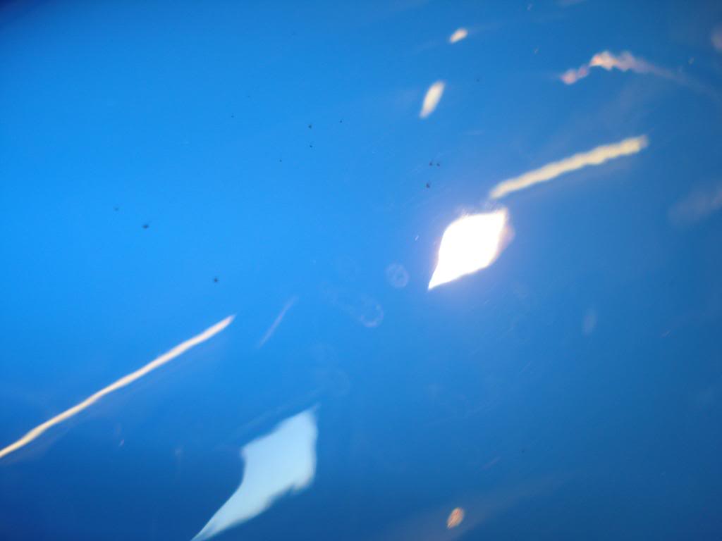 DSC06543.jpg
