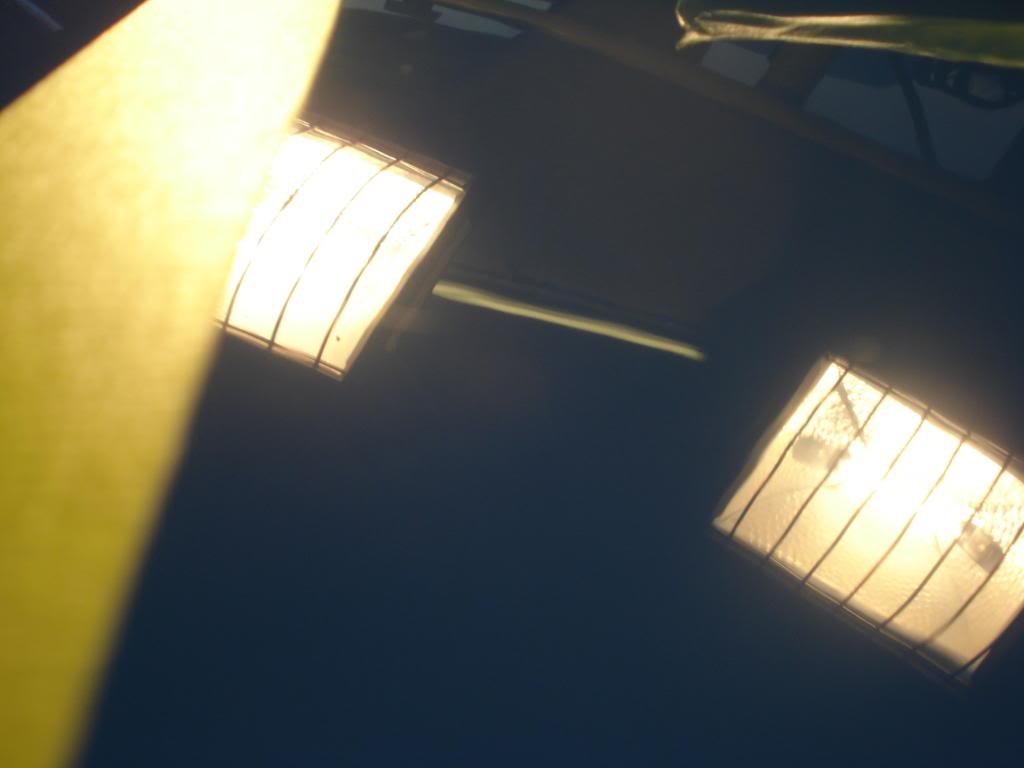 DSC06561.jpg