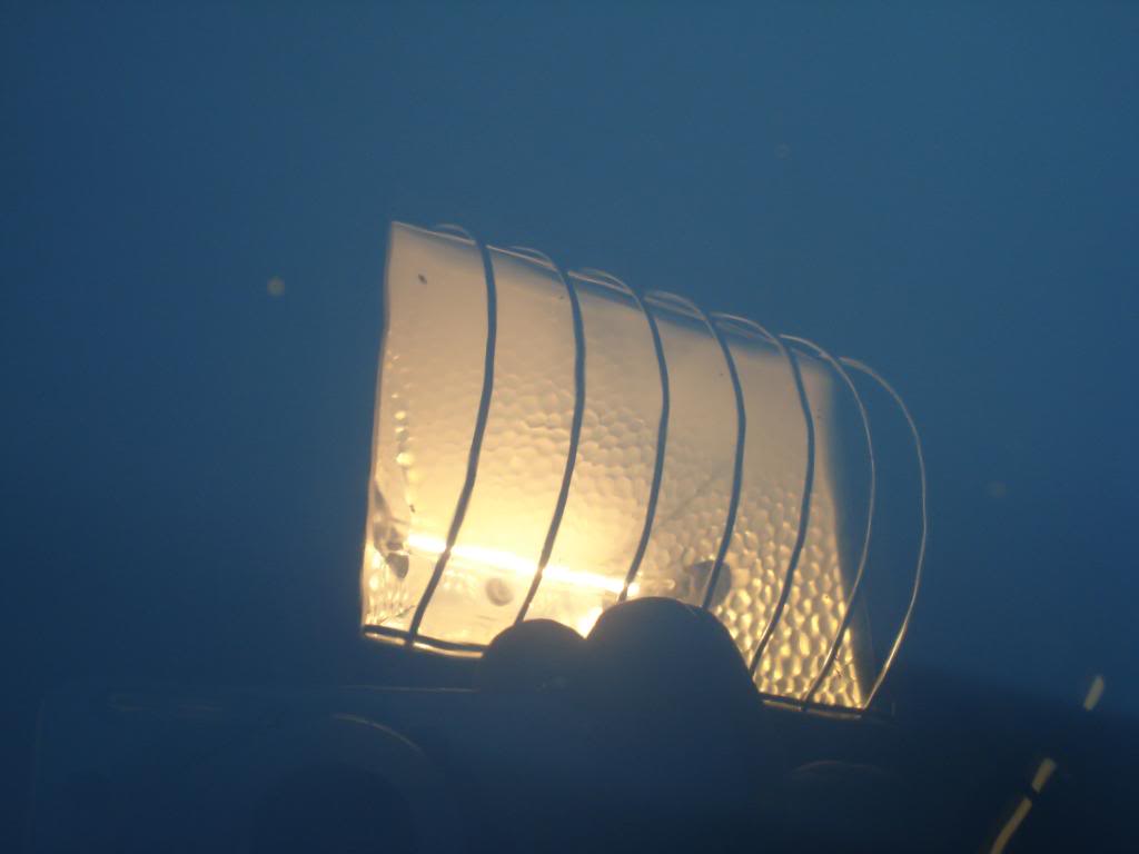 DSC06564.jpg