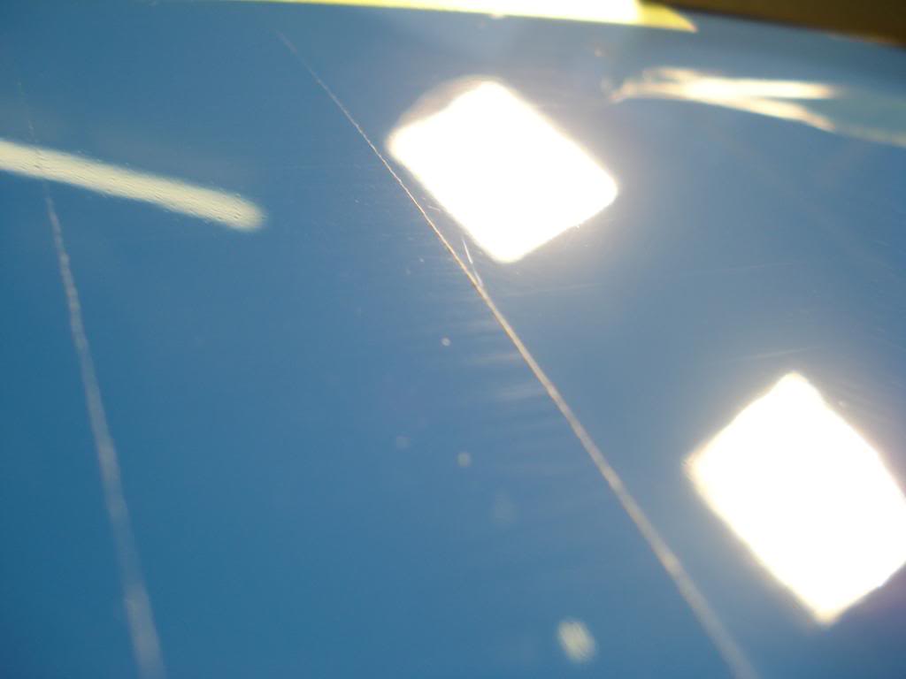 DSC06565.jpg