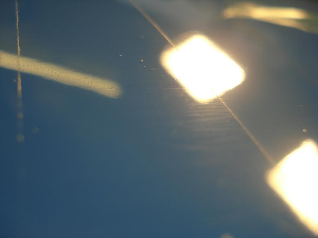 DSC06566.jpg