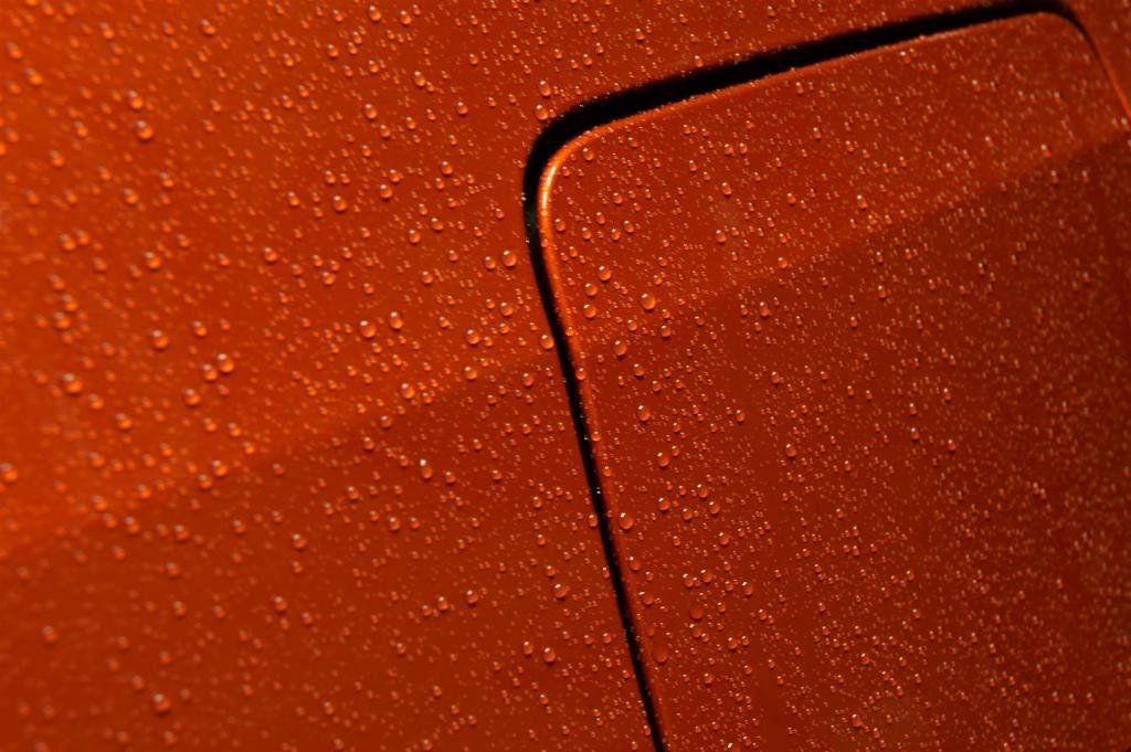 DSC06619_zps09e3aaef.jpg