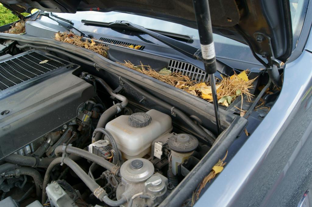 DSC06634_zpsbf93aaf1.jpg