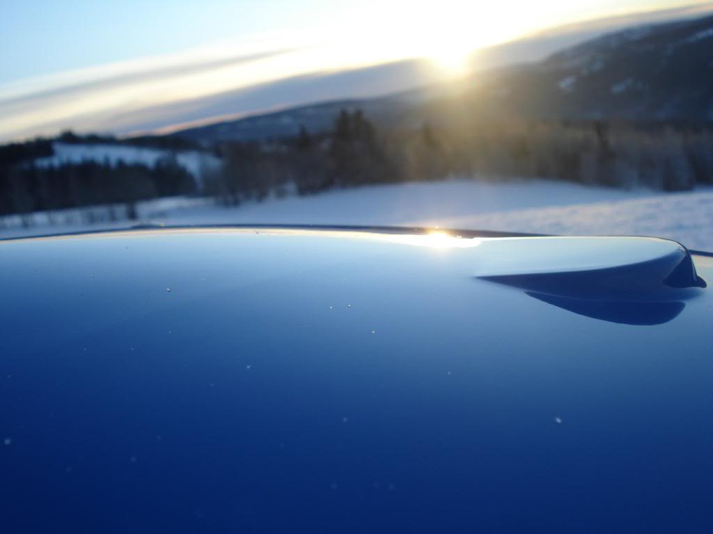 DSC06638.jpg