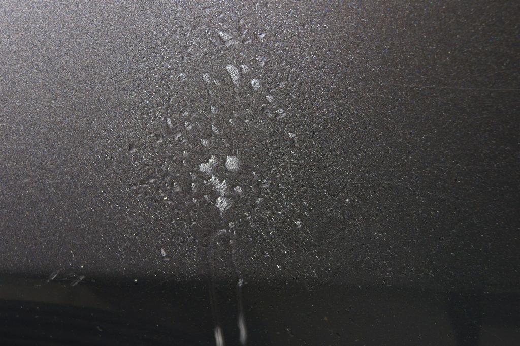 DSC06876_zps711644b0.jpg