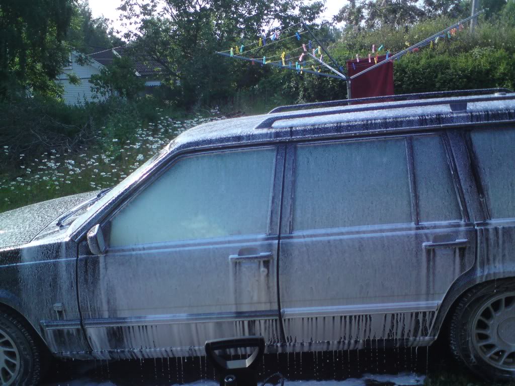 DSC07004.jpg