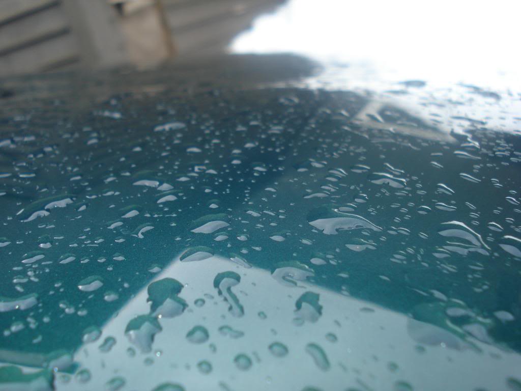 DSC07303.jpg