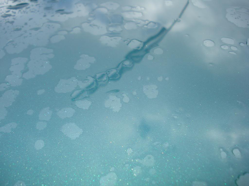 DSC07305.jpg